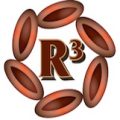 R3.LogoHoriz